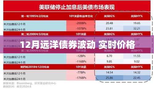 12月远洋债券价格波动，最新实时价格解析