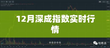 深成指数实时行情走势分析（最新动态）