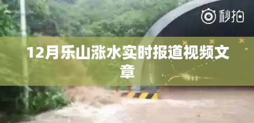 乐山洪水实时报道，视频直击涨水现场