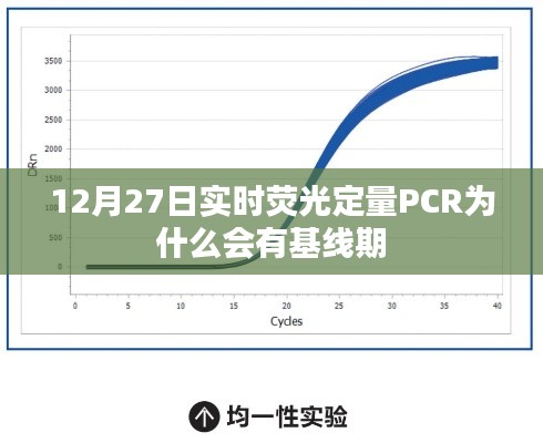 实时荧光定量PCR基线期成因解析，揭秘12月27日实验背后的秘密