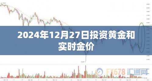 2024年黄金投资指南，实时金价走势分析