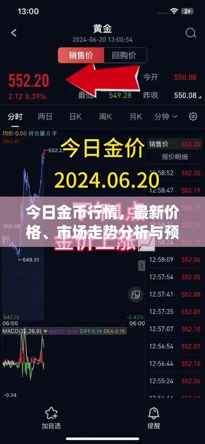 今日金币行情，最新价格、市场走势分析与预测
