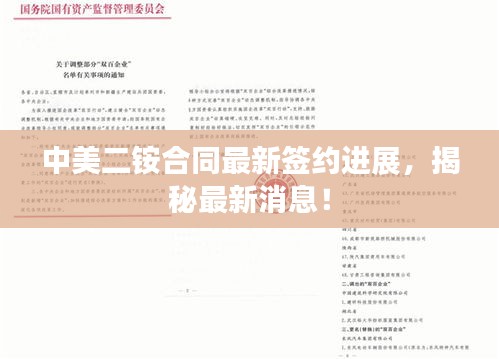 中美二铵合同最新签约进展，揭秘最新消息！