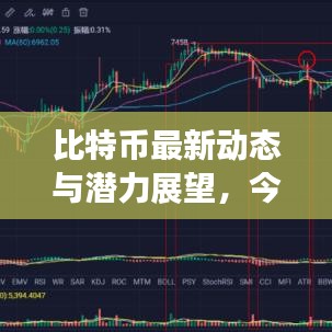 比特币最新动态与潜力展望，今日焦点资讯！