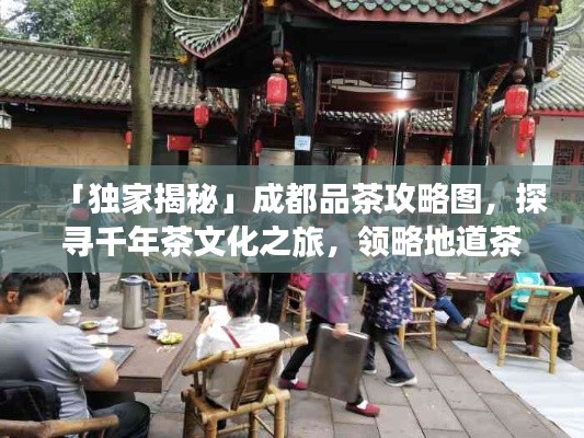 「独家揭秘」成都品茶攻略图，探寻千年茶文化之旅，领略地道茶香韵味！