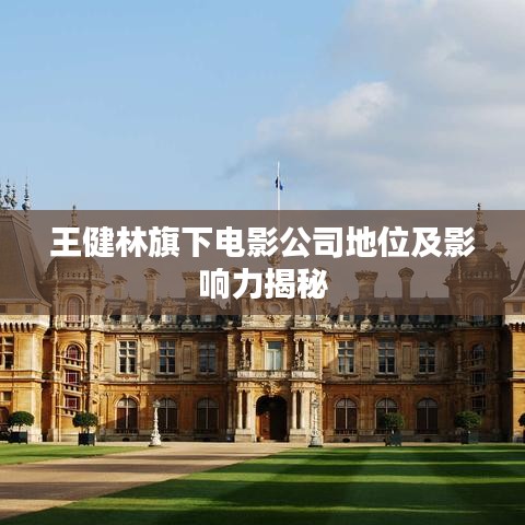 王健林旗下电影公司地位及影响力揭秘