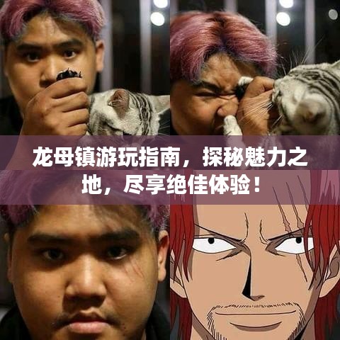 龙母镇游玩指南，探秘魅力之地，尽享绝佳体验！