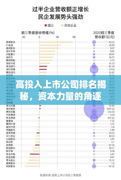 高投入上市公司排名揭秘，资本力量的角逐
