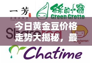 今日黄金豆价格走势大揭秘，最新行情动态一网打尽！