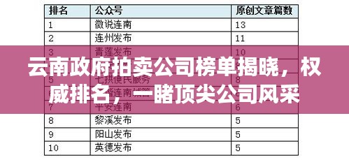 云南政府拍卖公司榜单揭晓，权威排名，一睹顶尖公司风采