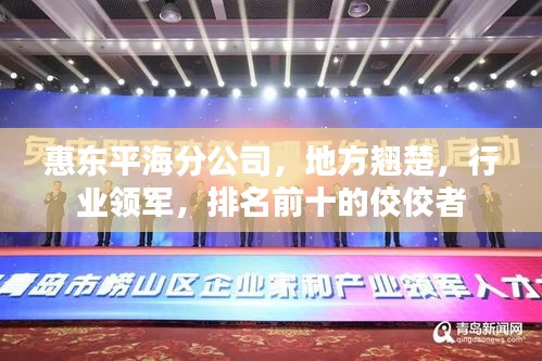 惠东平海分公司，地方翘楚，行业领军，排名前十的佼佼者