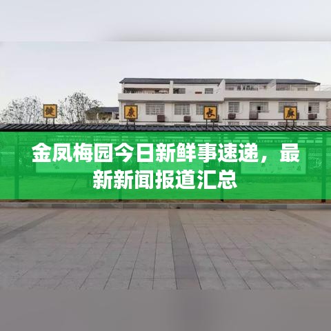 金凤梅园今日新鲜事速递，最新新闻报道汇总