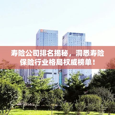 寿险公司排名揭秘，洞悉寿险保险行业格局权威榜单！