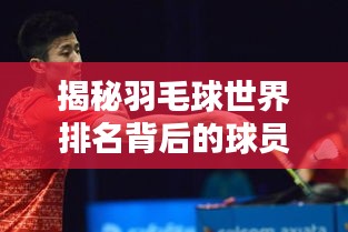揭秘羽毛球世界排名背后的球员数量与实力比拼！