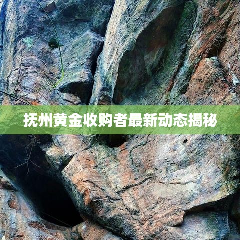 抚州黄金收购者最新动态揭秘