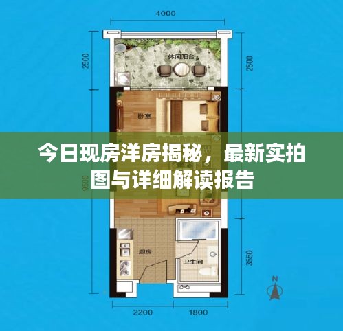 今日现房洋房揭秘，最新实拍图与详细解读报告