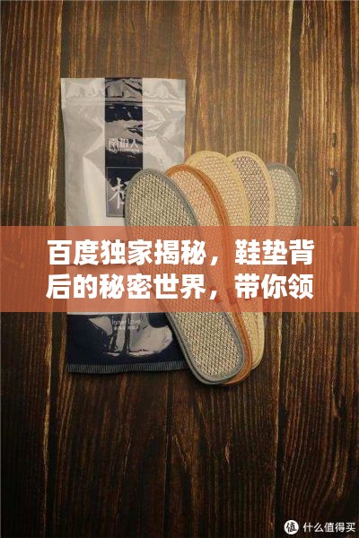 百度独家揭秘，鞋垫背后的秘密世界，带你领略鞋垫之美！