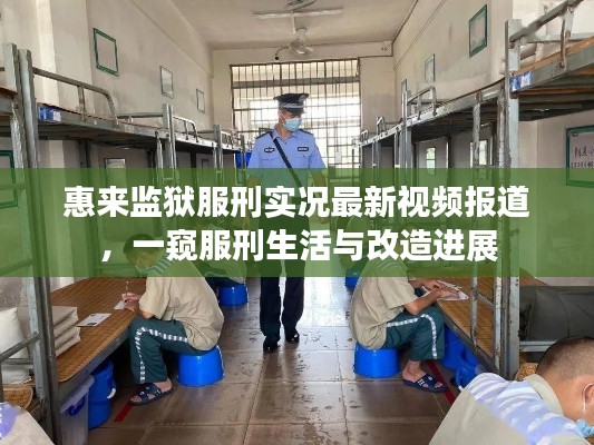 惠来监狱服刑实况最新视频报道，一窥服刑生活与改造进展