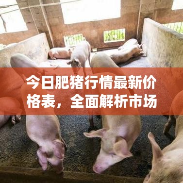 今日肥猪行情最新价格表，全面解析市场走势，快速掌握最新行情数据