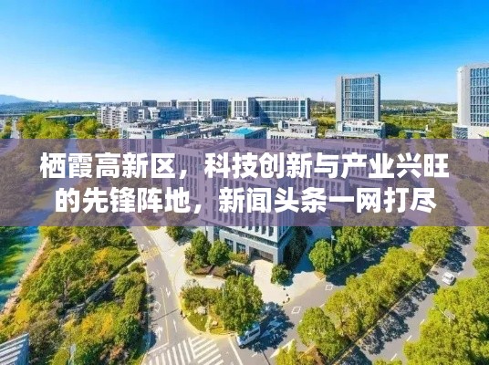 栖霞高新区，科技创新与产业兴旺的先锋阵地，新闻头条一网打尽
