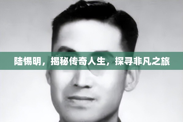 陆惕明，揭秘传奇人生，探寻非凡之旅