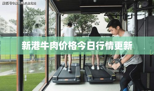 新港牛肉价格今日行情更新