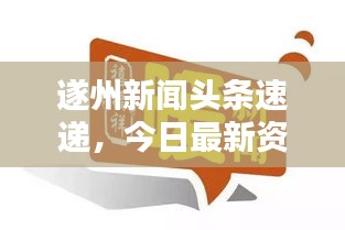 遂州新闻头条速递，今日最新资讯一览