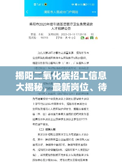 揭阳二氧化碳招工信息大揭秘，最新岗位、待遇一网打尽