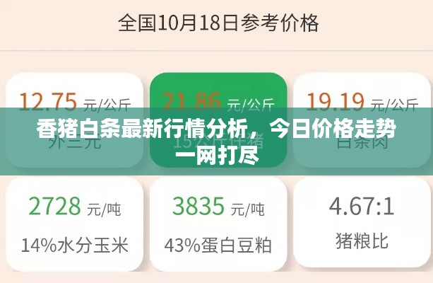 香猪白条最新行情分析，今日价格走势一网打尽