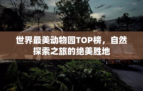 世界最美动物园TOP榜，自然探索之旅的绝美胜地