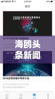 海鸥头条新闻速递，最新动态一网打尽！