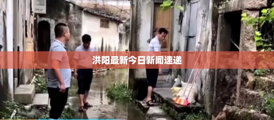 洪阳最新今日新闻速递