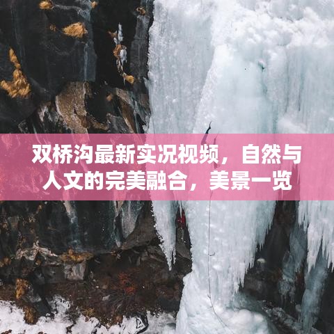 双桥沟最新实况视频，自然与人文的完美融合，美景一览