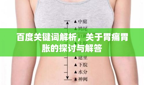 百度关键词解析，关于胃痛胃胀的探讨与解答