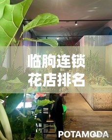 临朐连锁花店排名揭晓，十大美丽时尚之选