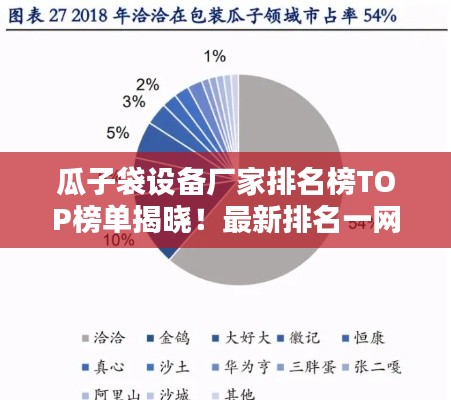 瓜子袋设备厂家排名榜TOP榜单揭晓！最新排名一网打尽！