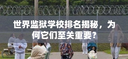 世界监狱学校排名揭秘，为何它们至关重要？
