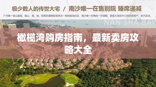 橄榄湾购房指南，最新卖房攻略大全