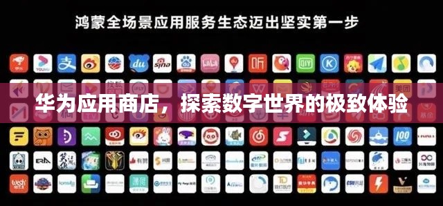 华为应用商店，探索数字世界的极致体验